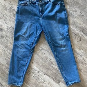 Loft Jeans high rise skinny. Plus.